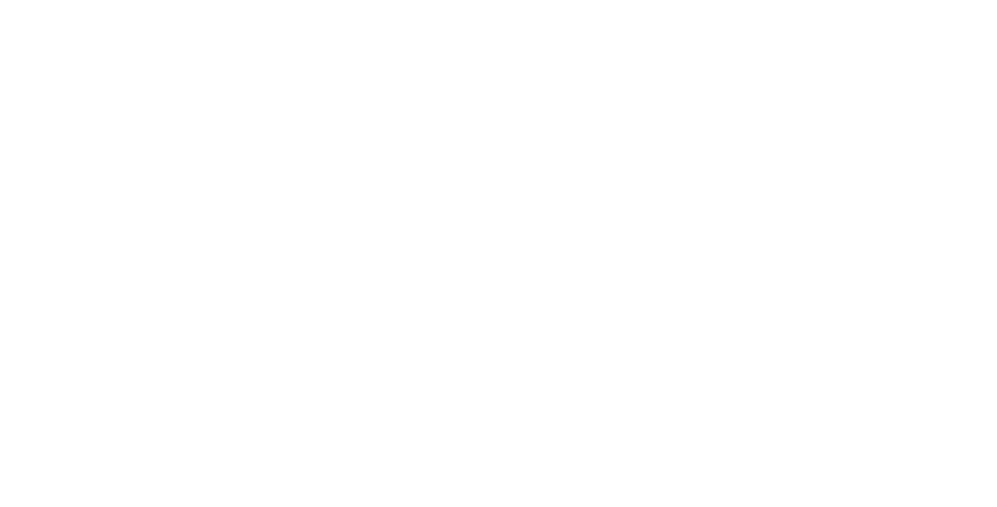 Cité Immersive Viking Nice