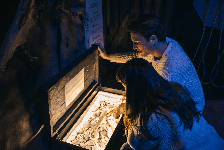 Cité Immersive Viking à Nice